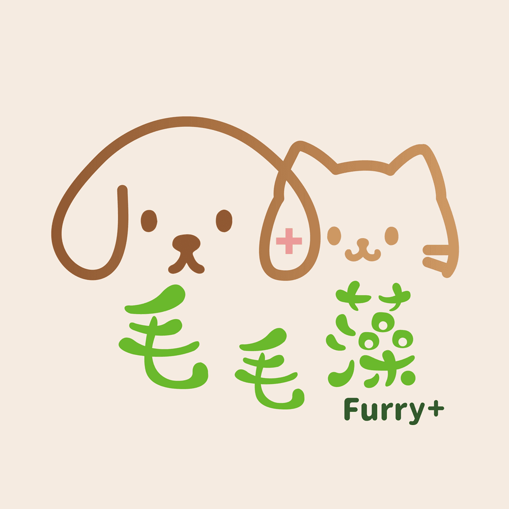 毛毛藻